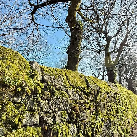 Casa Carles By Urent Pontecesures