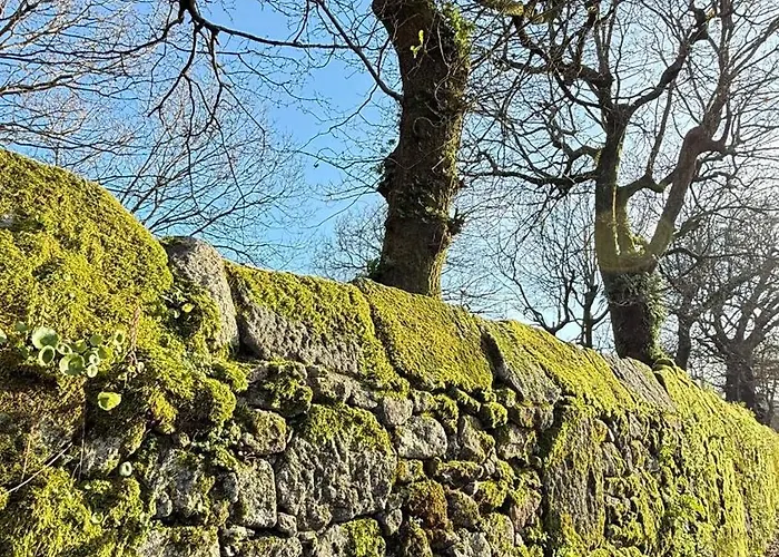 Casa Carles By Urent Pontecesures